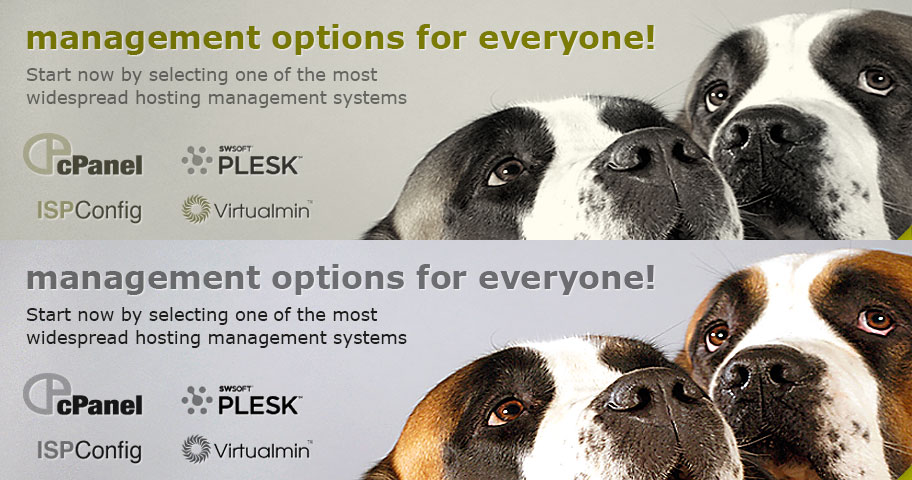 Management options for everyone
